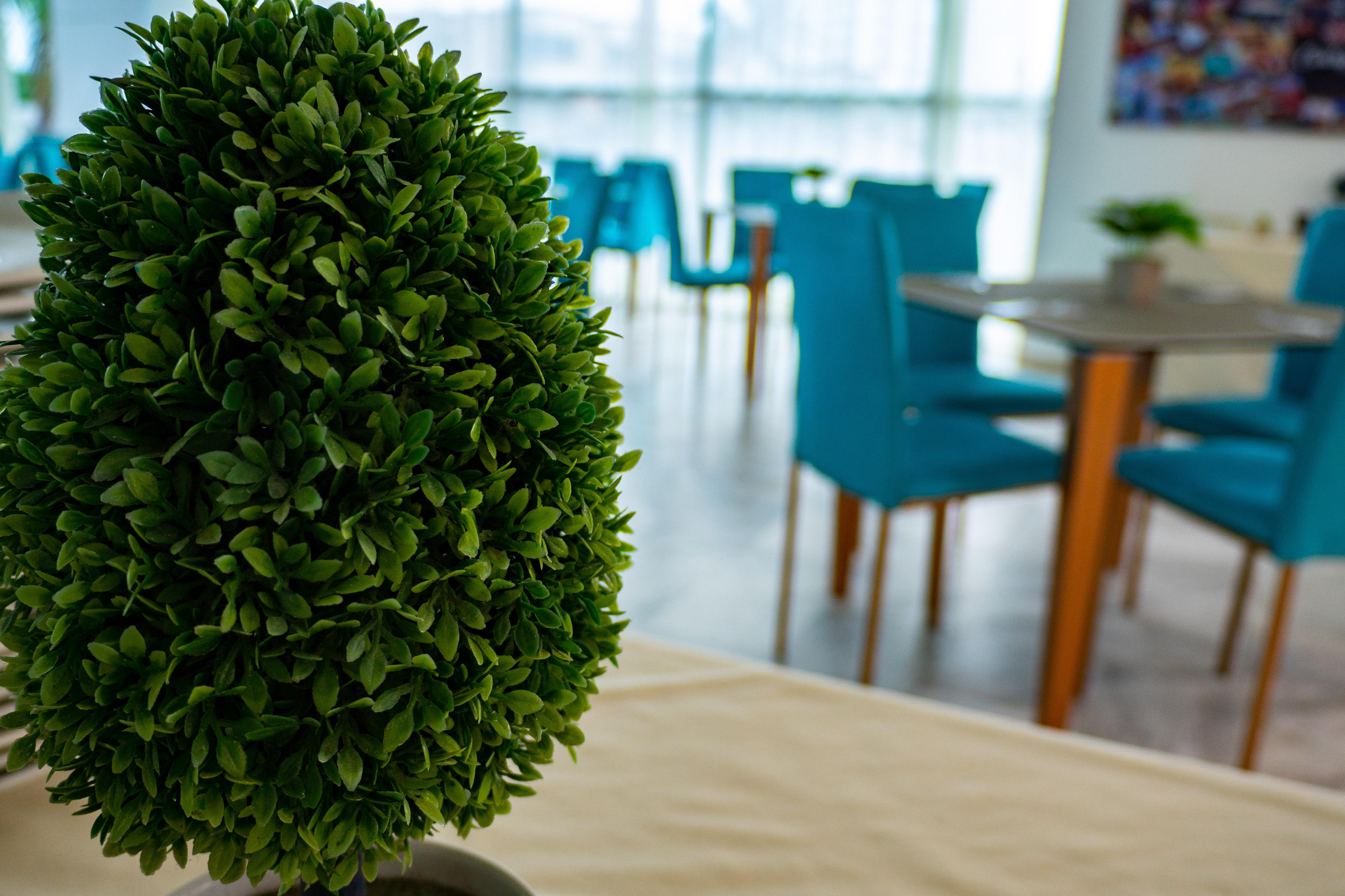 La Gran Via Hotel 3* Tierra Bomba